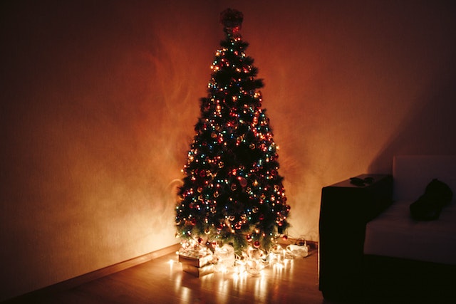 Christmas Caroling
